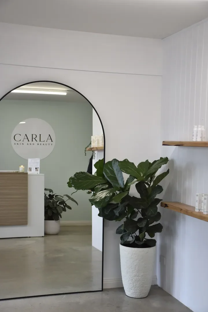 Elegant beauty salon interior with large mirror and plants.